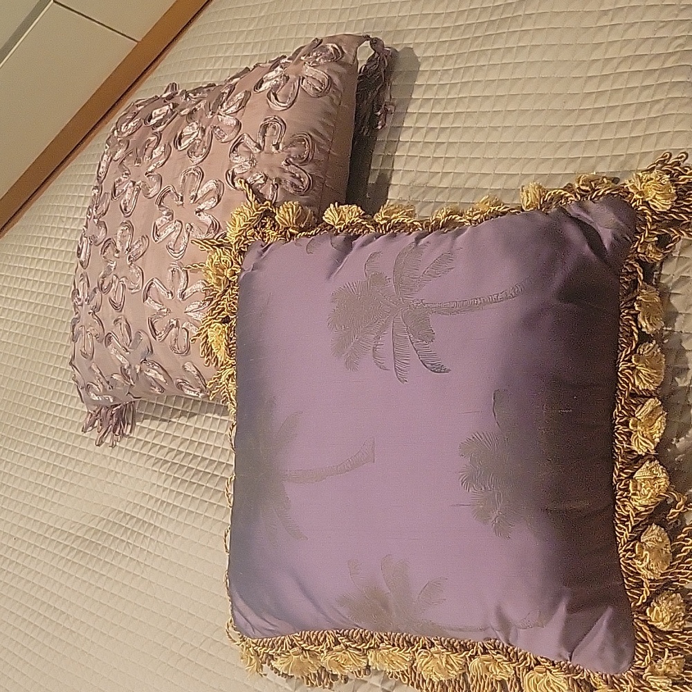 Set of 2 decorative pillows